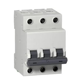 INTERRUP. AUTOMAT. TERMOMAGNET.25 AMP EASY9 LEXO (5600025)
