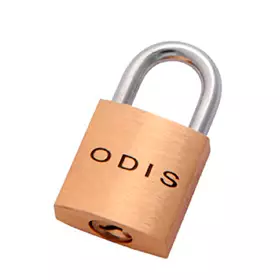 (DD) CANDADO OISTER BRONCE SATIN 20 MM ODIS (CAN0000677) (E12)